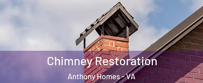 Chimney Restoration Anthony Homes - VA
