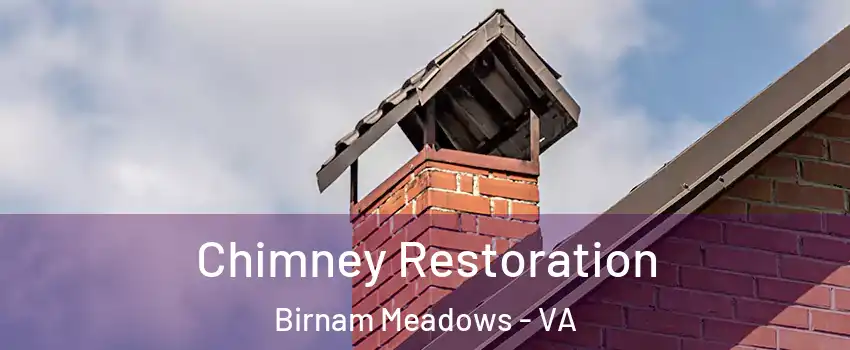 Chimney Restoration Birnam Meadows - VA