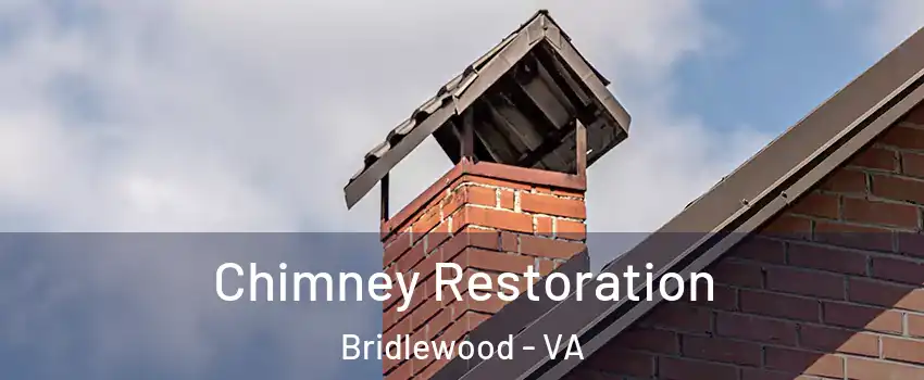 Chimney Restoration Bridlewood - VA