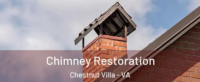 Chimney Restoration Chestnut Villa - VA