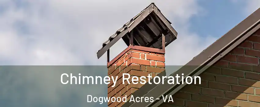 Chimney Restoration Dogwood Acres - VA