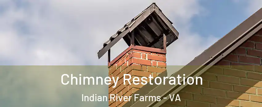 Chimney Restoration Indian River Farms - VA