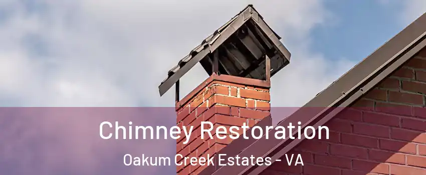 Chimney Restoration Oakum Creek Estates - VA