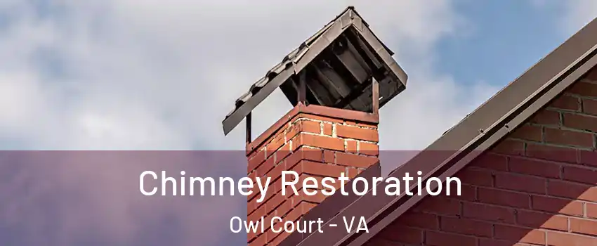 Chimney Restoration Owl Court - VA