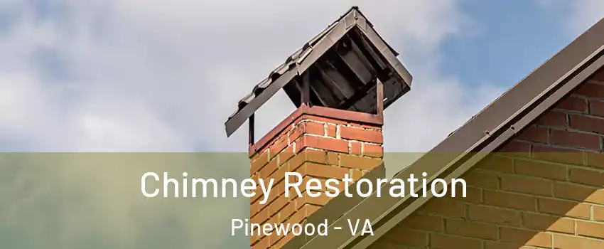 Chimney Restoration Pinewood - VA