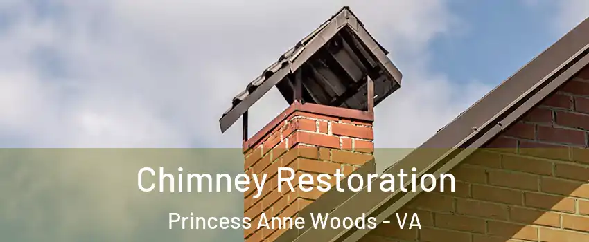 Chimney Restoration Princess Anne Woods - VA