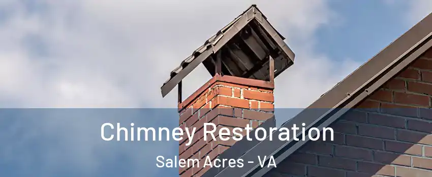 Chimney Restoration Salem Acres - VA