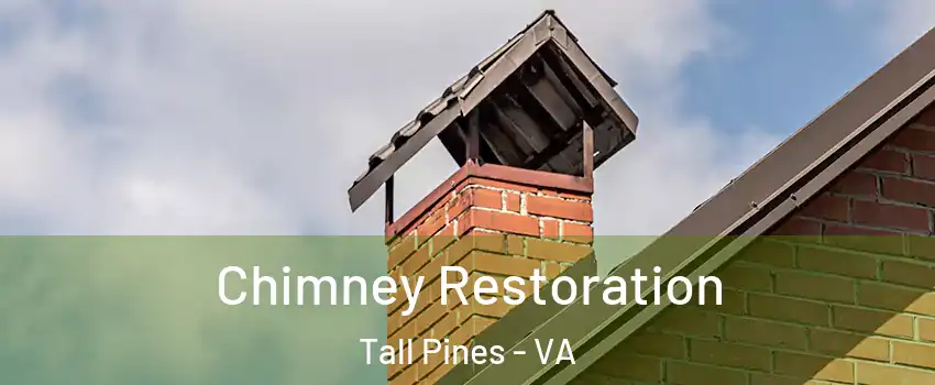 Chimney Restoration Tall Pines - VA