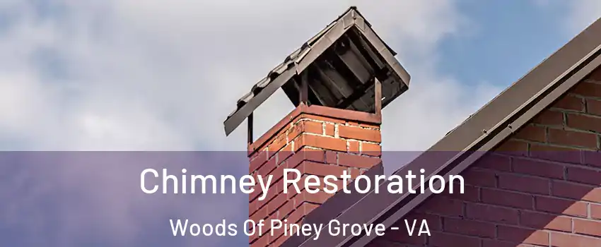 Chimney Restoration Woods Of Piney Grove - VA