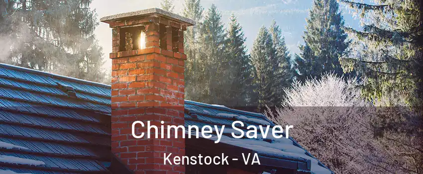 Chimney Saver Kenstock - VA