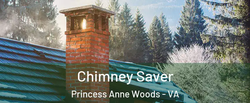 Chimney Saver Princess Anne Woods - VA
