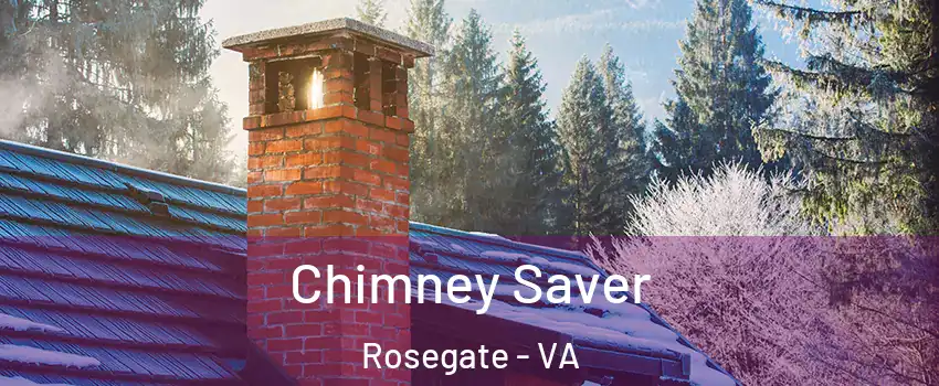 Chimney Saver Rosegate - VA