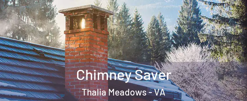 Chimney Saver Thalia Meadows - VA