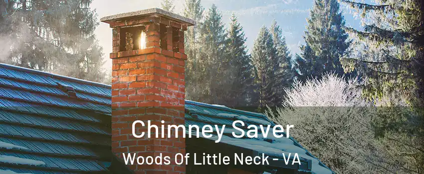 Chimney Saver Woods Of Little Neck - VA