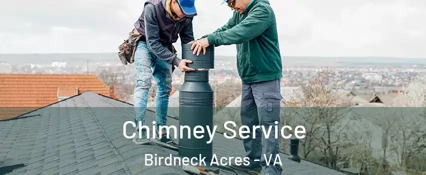 Chimney Service Birdneck Acres - VA