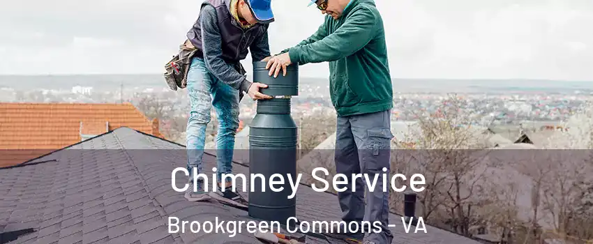 Chimney Service Brookgreen Commons - VA