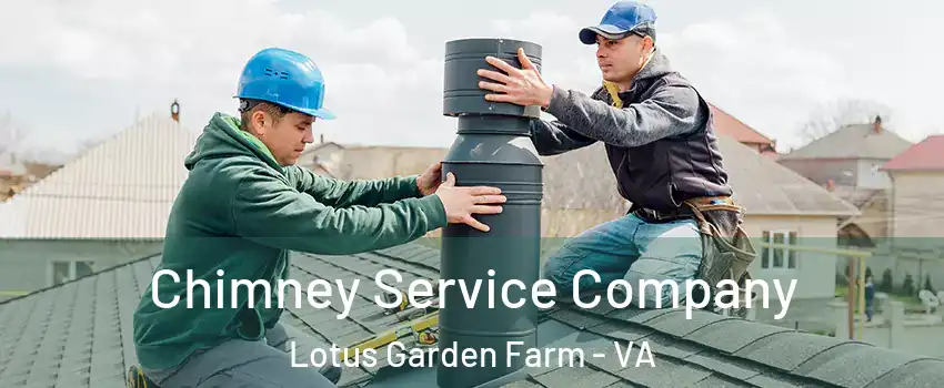 Chimney Service Company Lotus Garden Farm - VA