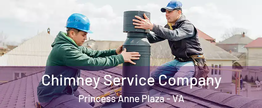 Chimney Service Company Princess Anne Plaza - VA