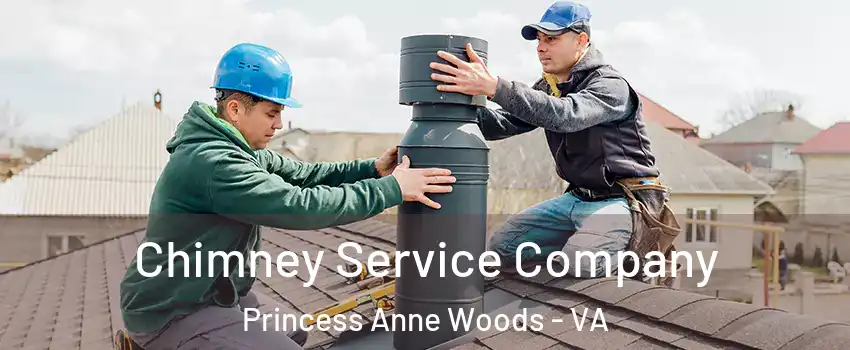 Chimney Service Company Princess Anne Woods - VA