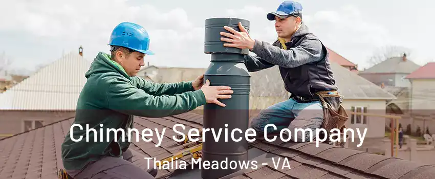 Chimney Service Company Thalia Meadows - VA