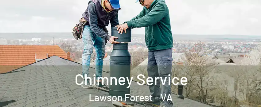 Chimney Service Lawson Forest - VA