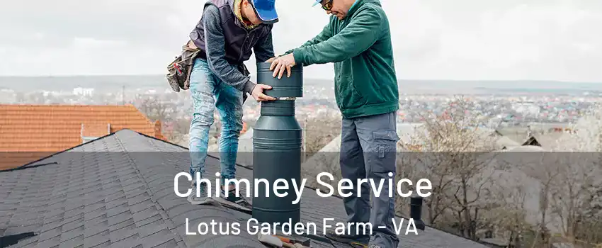 Chimney Service Lotus Garden Farm - VA