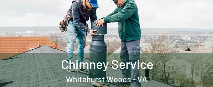 Chimney Service Whitehurst Woods - VA