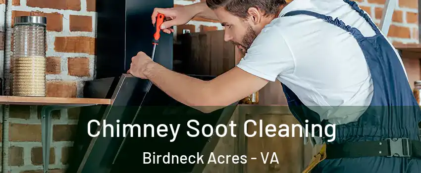 Chimney Soot Cleaning Birdneck Acres - VA