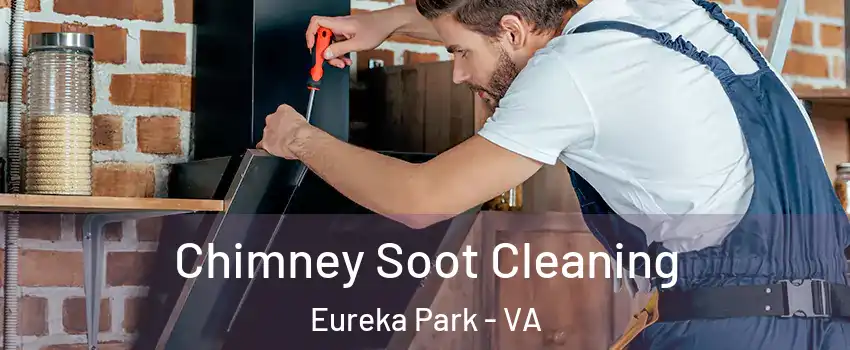 Chimney Soot Cleaning Eureka Park - VA