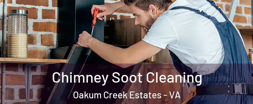 Chimney Soot Cleaning Oakum Creek Estates - VA