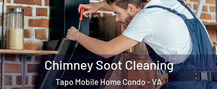 Chimney Soot Cleaning Tapo Mobile Home Condo - VA