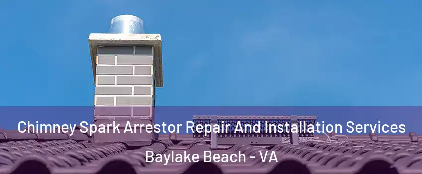 Chimney Spark Arrestor Repair And Installation Services Baylake Beach - VA