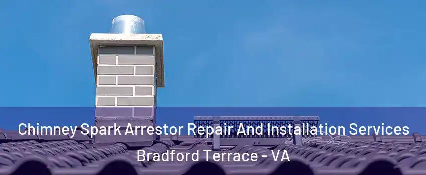 Chimney Spark Arrestor Repair And Installation Services Bradford Terrace - VA