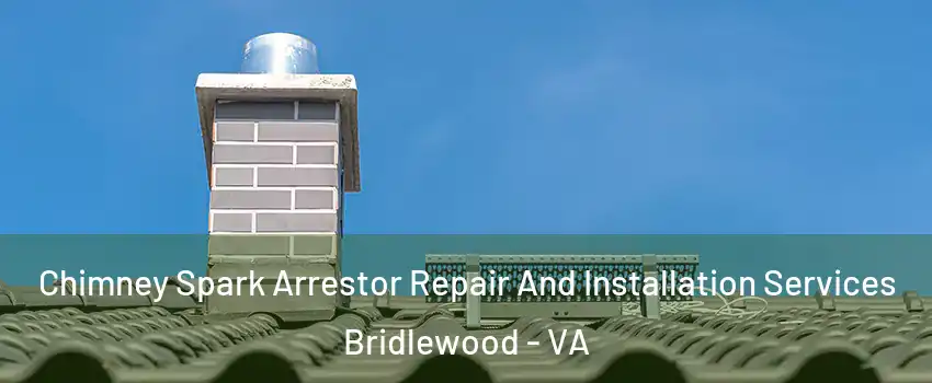 Chimney Spark Arrestor Repair And Installation Services Bridlewood - VA