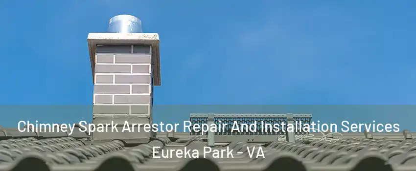 Chimney Spark Arrestor Repair And Installation Services Eureka Park - VA