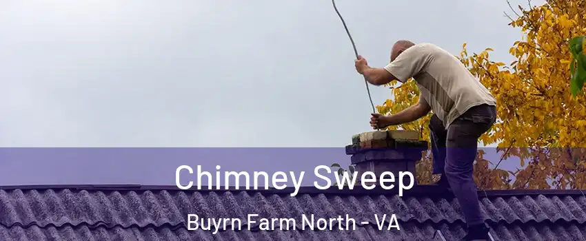 Chimney Sweep Buyrn Farm North - VA