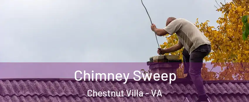 Chimney Sweep Chestnut Villa - VA