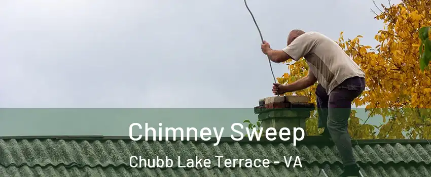 Chimney Sweep Chubb Lake Terrace - VA