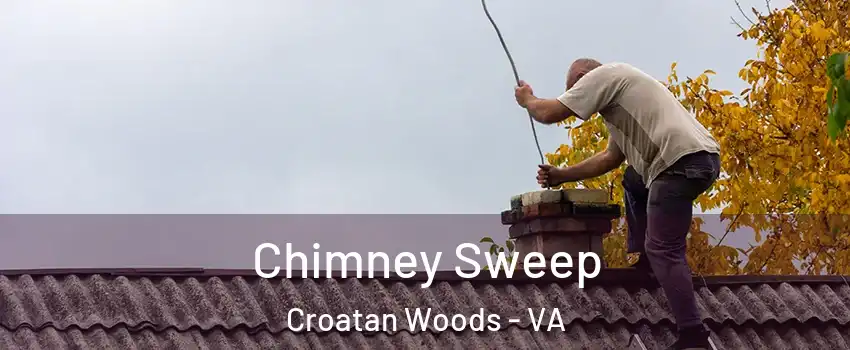 Chimney Sweep Croatan Woods - VA