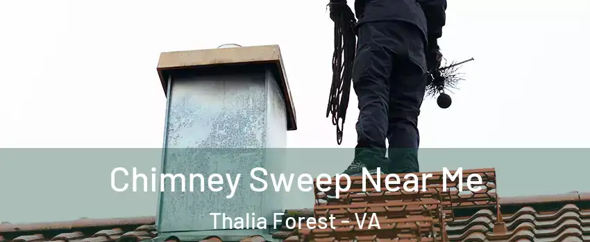 Chimney Sweep Near Me Thalia Forest - VA
