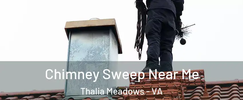 Chimney Sweep Near Me Thalia Meadows - VA