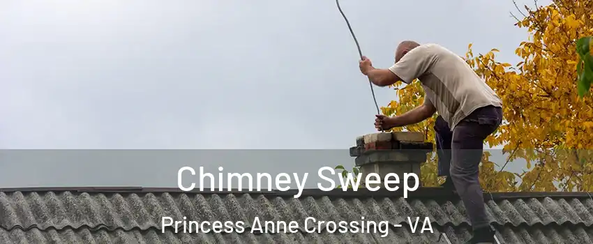 Chimney Sweep Princess Anne Crossing - VA