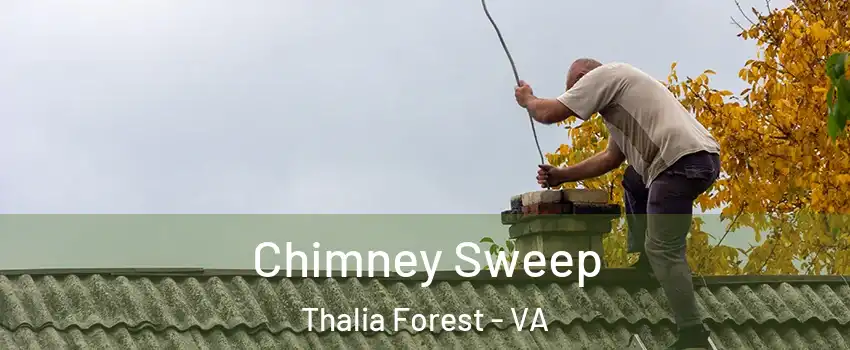 Chimney Sweep Thalia Forest - VA