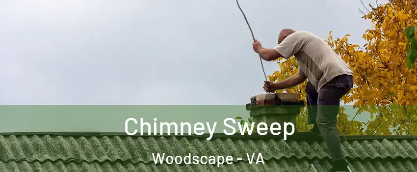 Chimney Sweep Woodscape - VA