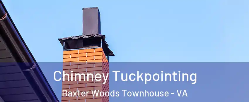 Chimney Tuckpointing Baxter Woods Townhouse - VA