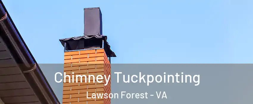 Chimney Tuckpointing Lawson Forest - VA