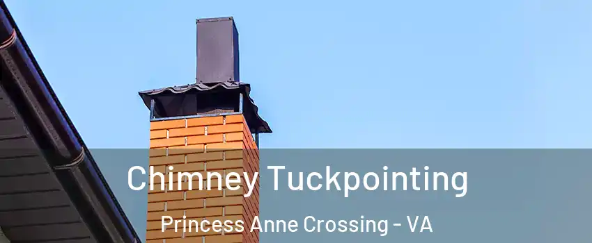 Chimney Tuckpointing Princess Anne Crossing - VA