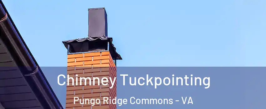 Chimney Tuckpointing Pungo Ridge Commons - VA