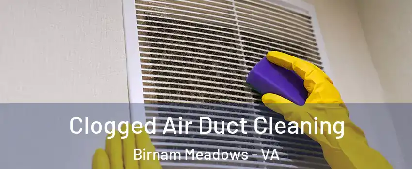 Clogged Air Duct Cleaning Birnam Meadows - VA