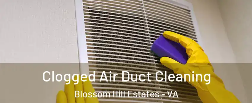 Clogged Air Duct Cleaning Blossom Hill Estates - VA